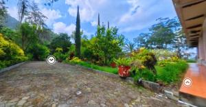 a garden with flowers and plants on a patio at Villa Tahiti in Palmira +2 photos