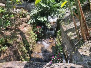 a small waterfall in a garden with flowers at Villa Tahiti in Palmira
