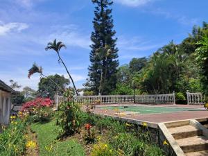 a garden with a tennis court and trees at Villa Tahiti in Palmira