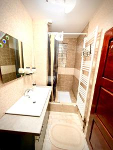 a bathroom with a sink and a shower at La Mansardă in Câmpulung