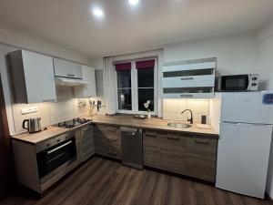 a kitchen with a white refrigerator and a sink at Ubytování Resslova in Ústí nad Labem