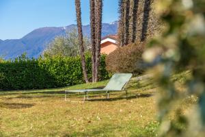a chair sitting in the grass next to some palm trees at Casa Sophie in Luino