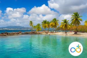 a beach with palm trees and a pool with a bike icon at Shoumy in Les Trois-Îlets