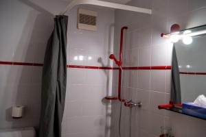 a bathroom with a shower with a shower curtain at Le Vieux Valais in Ovronnaz