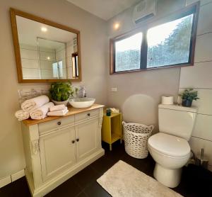 a bathroom with a toilet and a sink and a mirror at Sun Views Forest yet close to town in Queenstown +42 photos