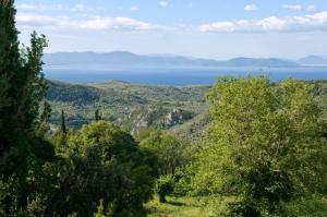a view of the ocean from a hill with trees at Centaur Suites & Maisonettes in Miléai