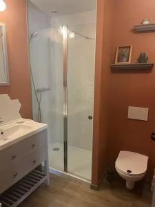 a bathroom with a shower with a toilet and a sink at Le chai de Peyssard, piscine chauffée. in Château-lʼÉvêque +18 photos