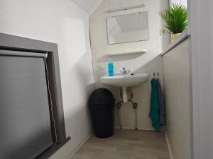 a small bathroom with a sink and a mirror at Chambre confortable pour 2p in Ostend