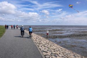 a group of people on the beach flying a kite at Moderne Wohnung mit Privatpool in Büsum +12 photos