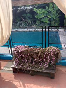 a planter filled with purple flowers on a bench at la reyna in Monte Grande +15 photos