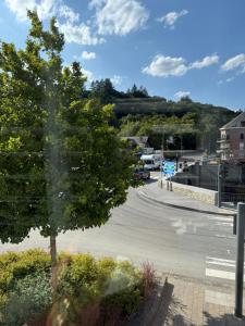 a tree on the side of a road at Au Coeur La Roche 2 in La-Roche-en-Ardenne