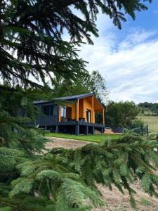 a house in a field with a tree at Мої Гори in Pilipets