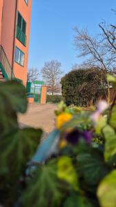 a group of flowers in front of a building at HOTEL HMR RHO Milano in Rho