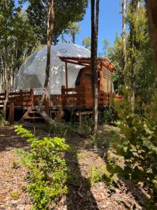 a cabin in the woods with a dome tent at Domo ancud glamping in Lechagua