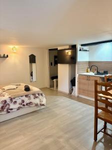 a bedroom with a bed and a kitchen with a sink at Flat ADB in Maintenon