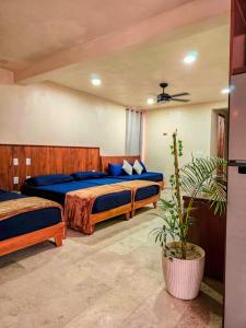 a bedroom with two beds and a potted plant at Family Studio Suite with Kitchenette & Terrace - Santuario Hotel Boutique in Chemuyil