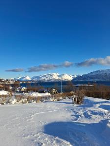 a snow covered field with mountains in the background at Lyngen apartment in Lyngseidet