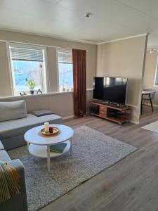 a living room with a couch and a flat screen tv at Lyngen apartment in Lyngseidet