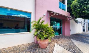 a plant in a pot in front of a building at Hotel Pousada Calliandra in Bonito