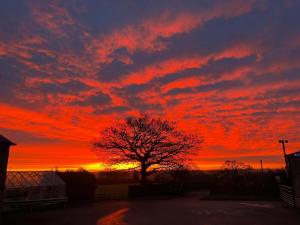 a sunset with a tree in a parking lot at Crich Lane Farm in Alfreton