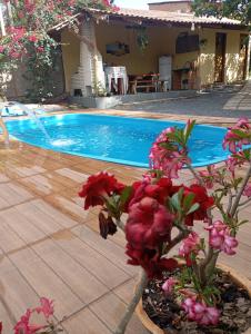 a plant in a pot next to a swimming pool at Chalés do quintal da chapada in Palmeiras