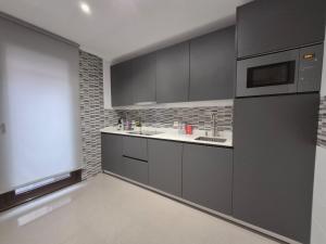 a kitchen with gray cabinets and a microwave at Mercurio Blanco-Zona Catedral in León +29 photos