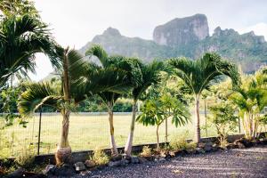 a row of palm trees with mountains in the background at Nanua Lodge 2 blue in Bora Bora