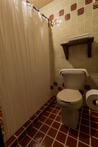 a bathroom with a white shower curtain and a toilet at Casa Huitsiki in Cuetzalán del Progreso +16 photos