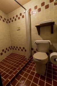 a bathroom with a toilet and a shower at Casa Huitsiki in Cuetzalán del Progreso