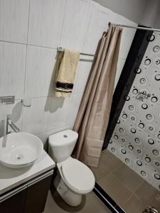 a bathroom with a toilet and a sink and a shower at Lily's Apartamentos in Cochabamba +26 photos