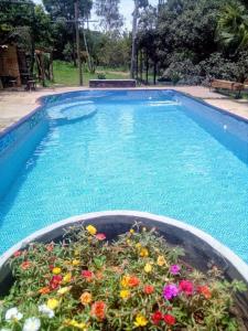 a swimming pool with a planter with flowers in it at Rancho Nobre Produções TEMPORADA MOTO GP GOIÂNIA 5min, autódromo in Senador Canedo +9 photos