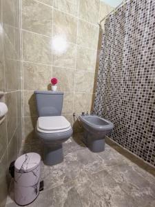 a bathroom with a toilet and a sink and a shower at Departamento Guadalupe in Fiambalá +4 photos