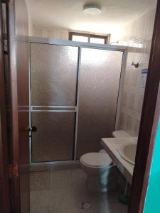 a bathroom with a shower with a toilet and a sink at Aventura inn 304 in Rodadero +1 photo