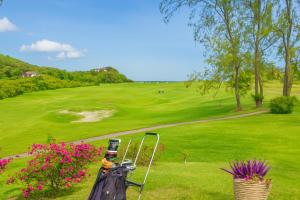 a man dressed in a black costume standing on a golf course at Shoumy in Les Trois-Îlets