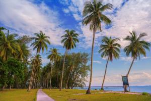 a row of palm trees on the beach at Twinbeach Sanctuary in Mersing