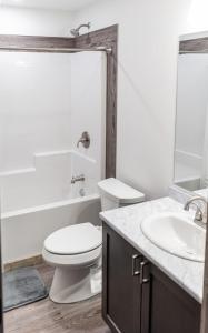 a bathroom with a toilet and a sink at Elk Horn Cabin Rental in Valemount +13 photos