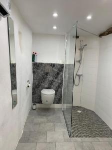 a bathroom with a toilet and a glass shower stall at Mas de la clue - 4 personnes in Figanières +17 photos