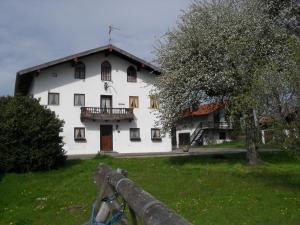 ein Pferd steht vor einem weißen Haus in der Unterkunft Dowis-Hof in Seebruck