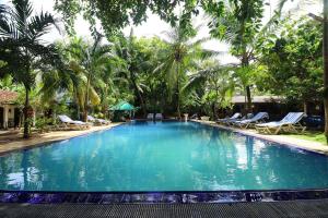 a large swimming pool with chairs and palm trees at Hotel Susantha Garden in Hikkaduwa