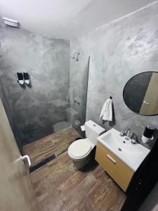 a bathroom with a toilet and a sink and a shower at Departamento ESTRADA ideal para pasajeros en tránsito, viajes laborales o estadías cortas Ubicado en Ezeiza, a solo 20 minutos del Aeropuerto Internacional Ministro Pistarini, ofrece comodidad y practicidad para hasta 4 personas in Tristán Suárez