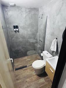 a bathroom with a shower and a toilet and a sink at Departamento ESTRADA ideal para pasajeros en tránsito, viajes laborales o estadías cortas Ubicado en Ezeiza, a solo 20 minutos del Aeropuerto Internacional Ministro Pistarini, ofrece comodidad y practicidad para hasta 4 personas in Tristán Suárez