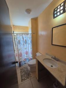 a bathroom with a toilet and a sink and a shower at Amplio depto en el corazón comercial de Boca in Veracruz