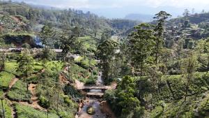 an aerial view of a valley in a forest at Stay Logi Nanuoya in Nanu Oya