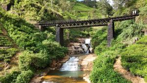 a train crossing a bridge over a river with a waterfall at Stay Logi Nanuoya in Nanu Oya