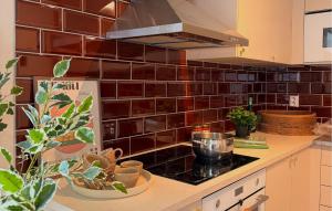 a kitchen with a counter with a stove top oven at 2 Bedroom Nice Apartment In Glemmingebro in Glemminge