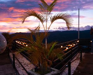a palm tree sitting next to a fence with a sunset at Serenity Busay Room 1 in Cebu City