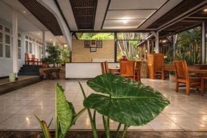 a patio with a table and chairs and a large plant at Bajo Hotel in Labuan Bajo
