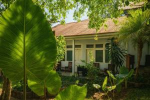 a house with a large green banana plant at Bajo Hotel in Labuan Bajo +44 photos
