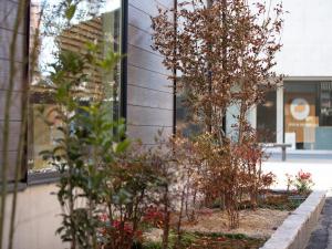 a group of trees in front of a building at Yufuin Covaco in Yufu +12 photos