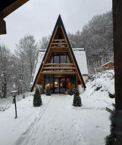 a log cabin in the snow with christmas trees at Cabana Aframe Blidari in Blidari